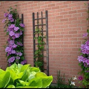 Meet your Posher, Sim